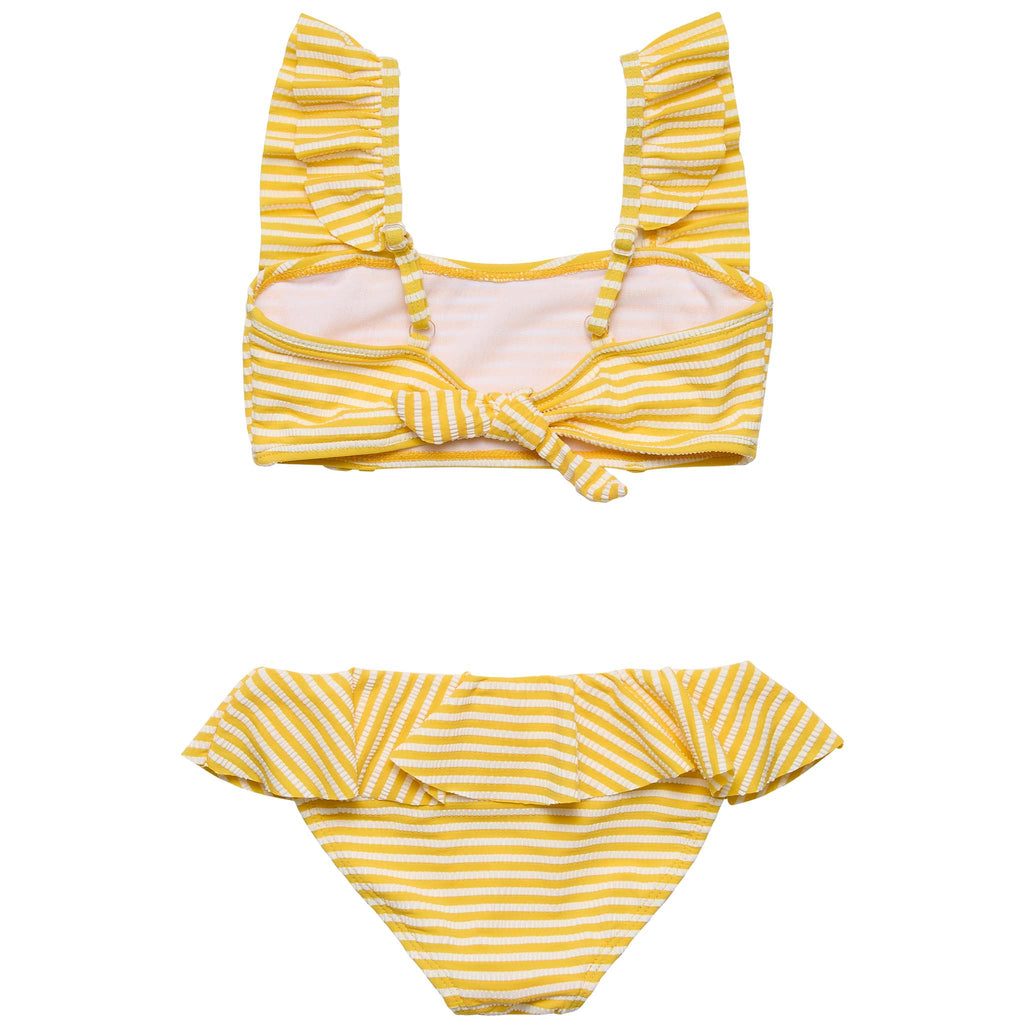 Sunshine Stripe Frilled Bikini